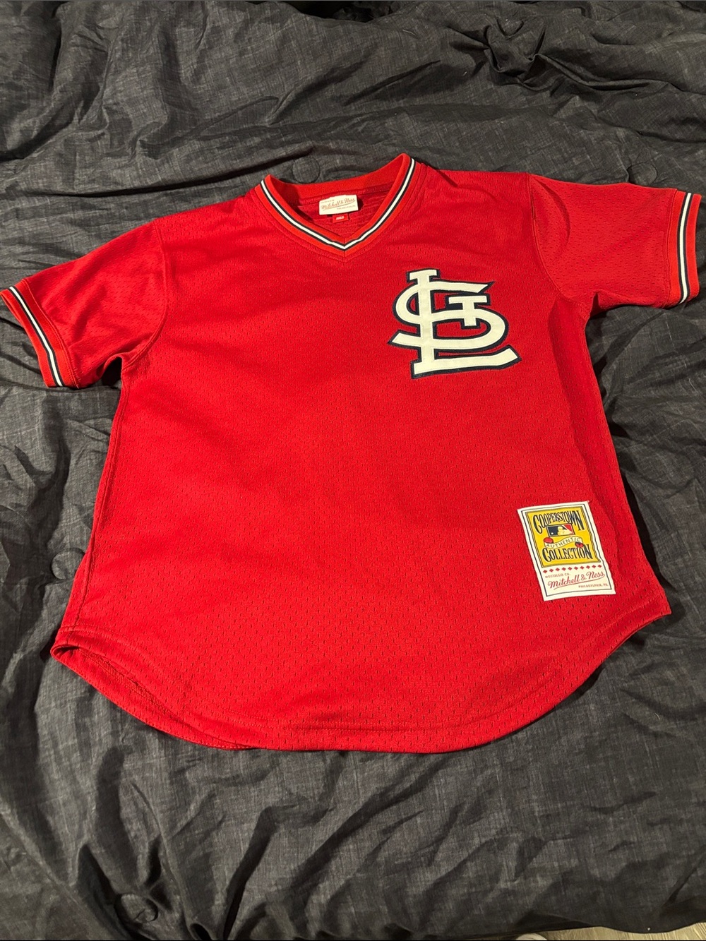 Ozzie Smith St. Louis Cardinals Red Mesh Baseball Jersey by Mitchell & Ness